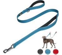 Fida Heavy Duty Dog Leads for Medium/Large Dogs, 1.2M / 4FT Traffic Handle & Advanced Hook for More Control, Reflective Dog Lead for Daily Walking & Training (Blue)