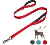Fida Heavy Duty Dog Leads for Medium/Large Dogs, 1.2M / 4FT Traffic Handle & Advanced Hook for More Control, Reflective Dog Lead for Daily Walking & Training (Red)