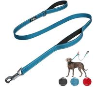 Fida Heavy Duty Dog Leads for Medium/Large Dogs, 1.5M / 5FT Traffic Handle & Advanced Hook for More Control, Reflective Dog Lead for Daily Walking & Training (Blue)