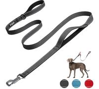 Fida Heavy Duty Dog Leads for Medium/Large Dogs, 1.8M / 6FT Traffic Handle & Advanced Hook for More Control, Reflective Dog Lead for Daily Walking & Training (Black)