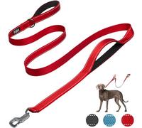 Fida Heavy Duty Dog Leads for Medium/Large Dogs, 1.8M / 6FT Traffic Handle & Advanced Hook for More Control, Reflective Dog Lead for Daily Walking & Training (Red)