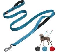 Fida Heavy Duty Dog Leads for Medium/Large Dogs, 1.8M / 6FT Traffic Handle & Advanced Hook for More Control, Reflective Dog Lead for Daily Walking & Training (Blue)