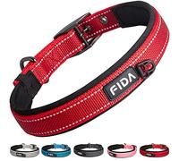 Fida Padded Dog Collar, Metal Belt Buckle Dog Collar with Double-Layer Webbing, Heavy Duty Collar for Small Dogs, Red