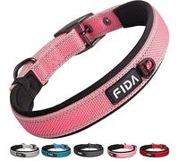 Fida Padded Dog Collar with Metal Buckle and Double-Layer Webbing, Heavy Duty for Small Dogs, Pink