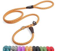 Fida Slip Lead for Dogs, 1.8M/6FT Anti Pull Dog Leads, for 20-50kg, Orange | No Collar Needed, Anti-Choke Ring, Figure of 8, Reflective Stitching, No-Pull Control, Quick-Fit, for Daily Walks & Training