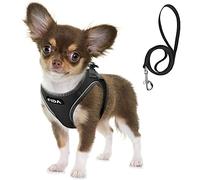 Fida Step-in Flex Dog Harness with Dog Leash, Soft Puppy Vest - All Weather Mesh, Step in Adjustable Harness for Tiny Dog or Cat (XS, Black)