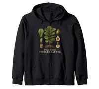 Fiddle Leaf Fig Botanical Anatomy Vintage Nature Study Zip Hoodie