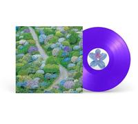 Fiddlehead - Between the Richness (Violet Vinyl) [VINYL]