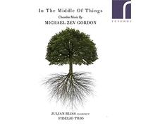 Fidelio Trio/Bliss - In the Middle of Things: Chamber Music by Michael Zev Gordon