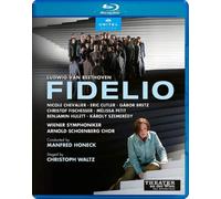 Fidelio: Wiener Symphoniker (Honeck)