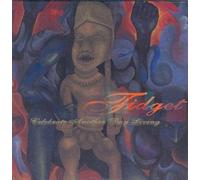 Fidget - Celebrate Another Day Living