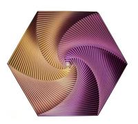 Fidget Hexagon ，Adult Stress Relief Toys，3D Printed Toy，Stress Relief Hexagon Geometric Sensory Toy ，Meditation As A Tool To Reduce