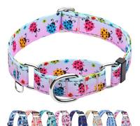 Fidohug Reflective Martingale Collar for Dogs Nylon Training Collar with No Buckle, No Pull Adjustable Dog Collar for Large Dogs(Gradient Ladybug,L)