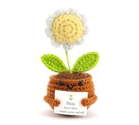 FIDWALL Positive Crochet Flower Figure with Built-in Affirmation Card - Handmade Birthday Month Flower Keepsake for Women - Emotional Support, Desk Decoration, Uplifting Token (Daisy - Apr/Aug)