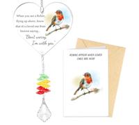 FIDWALL Robin Memorial Gifts for Loved Ones, Acrylic Heart Hanging Plaque Keepsake with Poem and Sympathy Card, Remembrance Ornament, Grave Decorations In Memoriam