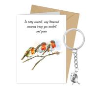 FIDWALL Robin Sympathy Card & Keyring Gift Set, Memorial Bereavement Condolence Keepsake for Loss of Loved Ones, Remembrance Gift with Touching Quote (Includes Envelope) (Three Robins)