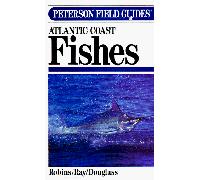 Field Guide to Atlantic Coast Fishes (Peterson Field Guides)