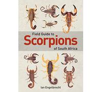 Field Guide to Scorpions of South Africa