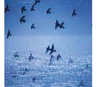 Field Harmonics - Walls
