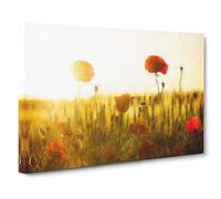 Field Of Poppies Vol.5 Canvas Print | Gallery Wrapped 30mm Frame Wall Art | 30x20 inches | Ready to Hang | Modern Landscape Picture | Living Room Bedroom Lounge Office