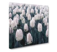 Field of White Tulips Canvas Print | Gallery Wrapped 30mm Frame Wall Art | 20x20 inches | Ready to Hang | Modern Floral Picture | Living Room Bedroom Lounge Office