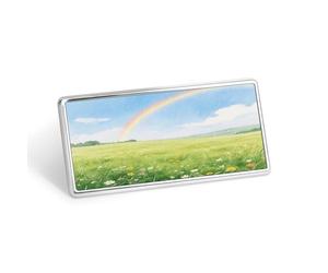 Field Under The Rainbow After The Rain Stainless Steel Name Plate with Pin,Durable Personalized Name Tags,Name Badge for Business Work Lable Sign 1.4 * 2.8 in