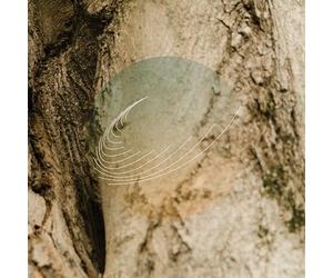 Field Works - Maples, Ash, And Oaks: Cedars Instrumentals