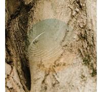 Field Works - Maples, Ash, And Oaks: Cedars Instrumentals [VINYL]