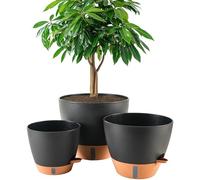 Fielda 8/10/12 Inch Self Watering Pots for Indoor/Outdoor Plants