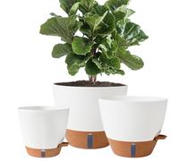 Fielda 8/10/12 Inch Self Watering Pots for Indoor/Outdoor Plants - Large Plastic Planter with Drainage Holes, Water Level Indicator & Deep Reservoir, Modern Decorative Flower Pots (White)