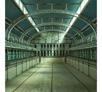 Fieldhead - We've All Been Swimming [VINYL]