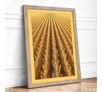 Fields of Gold Rustic Framed Wall Art Print A3 Oak Frame