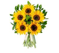 Fields Of Gold Sunflower Bouquet - Fresh Cut Summer Flowers for Birthdays, Anniversaries, or Thank You Gifts - Bright and Cheerful Floral Arrangement (Large)