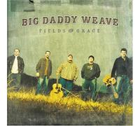 Fields of Grace by Big Daddy Weave (2003) Audio CD