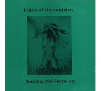 Fields Of The Nephilim - Burning The Fields EP