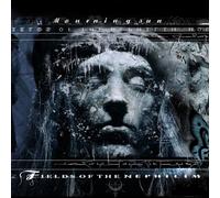 Fields Of The Nephilim - Mourning Sun