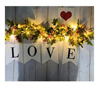 Fielegen 2 Pack Artificial Flower Fairy String Lights, 40 LED Battery Powered Rose Flower Garland with Lights for Valentine Mother's Day, Garden Wedding Birthday Holiday Party Indoor Bedroom Decor