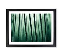 Fierce Bamboo Forest Framed Print | A3 Black Framed Wall Art | Ready to Hang | Modern Landscape Picture | Living Room Bedroom Lounge Office