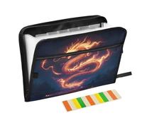 Fierce Dragon Expanding File Folder A4,13 Pockets File Organiser, Paperwork A4 Plastic Wallet Document Storage Expander for School,Office and Home