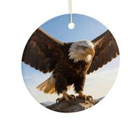 Fierce Eagle And National Flag Ceramic Christmas Ornament,Wall Hanging Decor Windows Hanging Decor Best Friend Birthday Gifts, Friendship Gifts Car Hanging Ornament Gift for Women, Girls, Teachers 2.9