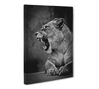 Fierce Lioness Lion Canvas Print | Gallery Wrapped 30mm Frame Wall Art | 20x14 inches | Ready to Hang | Modern Animals Picture | Living Room Bedroom Lounge Office