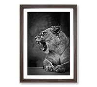 Fierce Lioness Lion Framed Print | A2 Walnut Framed Wall Art | Ready to Hang | Modern Animal Picture | Living Room Bedroom Lounge Office