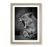 Fierce Lioness Lion Modern Framed Print | A4 Oak Framed Wall Art | Ready to Hang | Modern Animal Picture | Living Room Bedroom Lounge Office