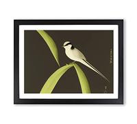 Fierce Swallow Bird Framed Print | A2 Black Framed Wall Art | Ready to Hang | Modern Nature Picture | Living Room Bedroom Lounge Office