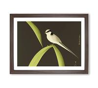 Fierce Swallow Bird Framed Print | A4 Walnut Framed Wall Art | Ready to Hang | Modern Nature Picture | Living Room Bedroom Lounge Office