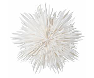 Fiery Christmas Star Ø70 White
