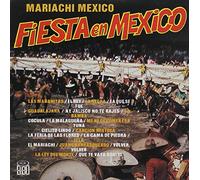 Fiesta En Mexico