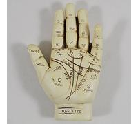 Fiesta Studios Palmistry Hand, Ornament. L12.5cm & Palm Reading Instruction Booklet