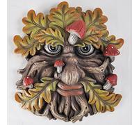 Fiesta Studios Tree Ent Face Wall Plaque FUNGIFACE Large Garden, Greenman Decorative Gift Decor. 16cm