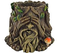 Fiesta Studios Tree Ent - Pot Hear No See No Speak Home Decor Garden Ornament Plant Pot Holder Fantasy Figure Flowers Novelty Gift H14cm